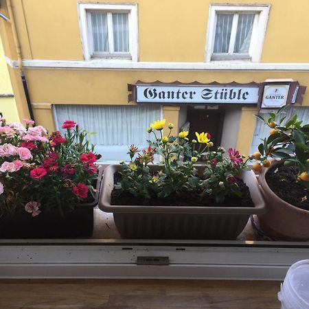 Homestay Waldshut-Tiengen Zewnętrze zdjęcie