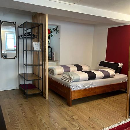 Homestay Waldshut-Tiengen Zewnętrze zdjęcie