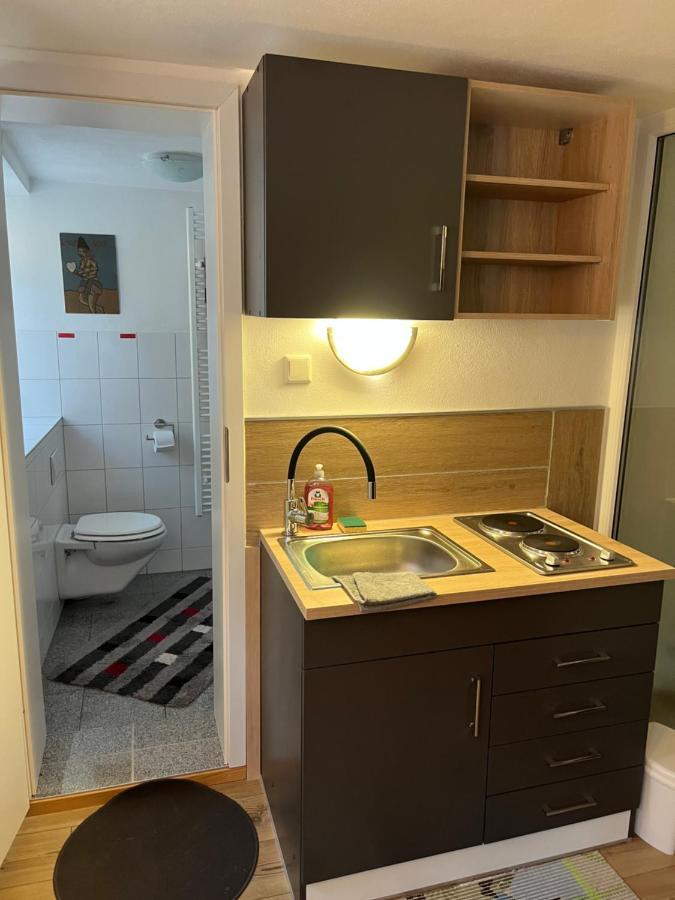 Homestay Waldshut-Tiengen Zewnętrze zdjęcie