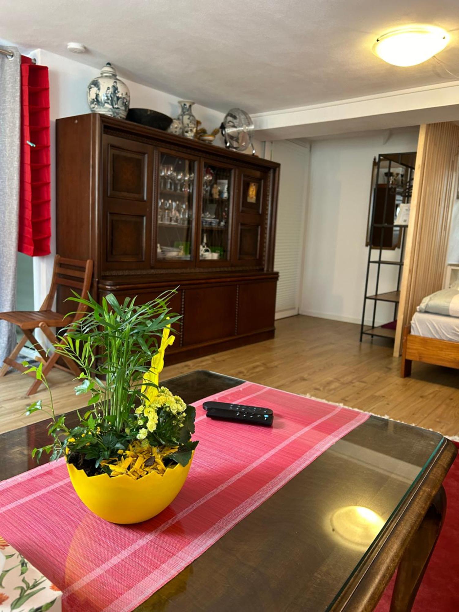 Homestay Waldshut-Tiengen Zewnętrze zdjęcie