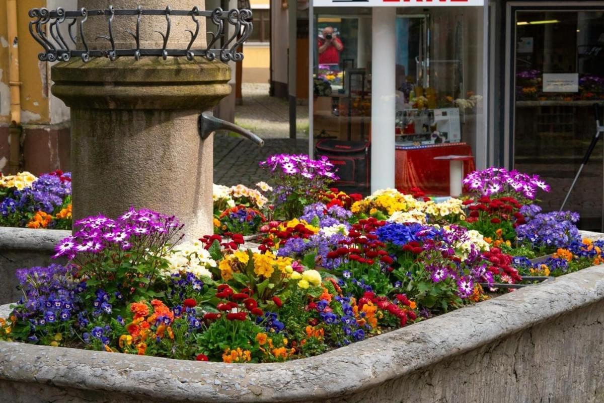 Homestay Waldshut-Tiengen Zewnętrze zdjęcie